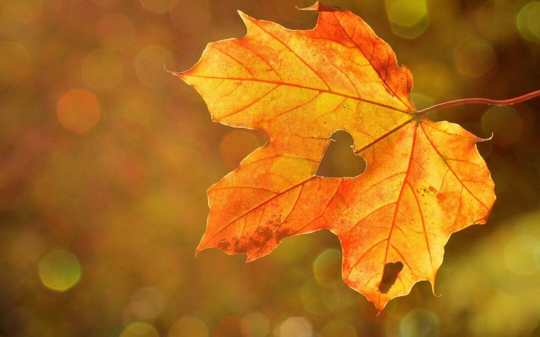 Celebrating Autumn Equinox with the Goddess Temple