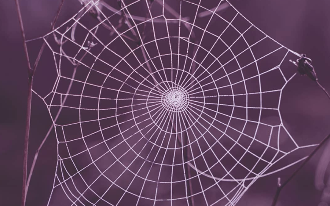 The Weave of the Great Mother – Half Price in October!