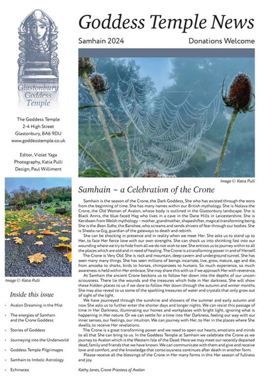 Read our Samhain 2024 Newsletter!